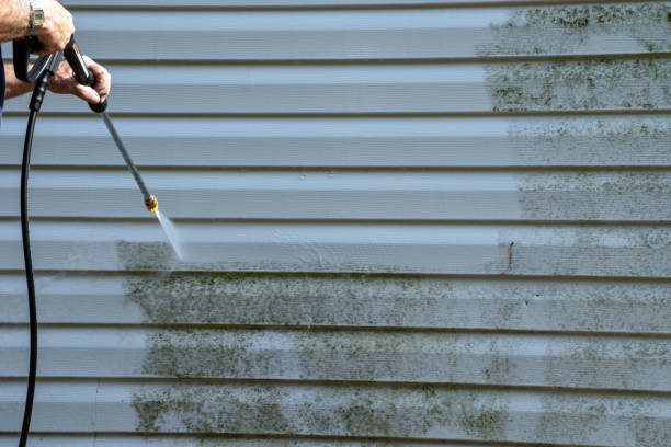 Best Yard Waste Removal  in Edmundson, MO